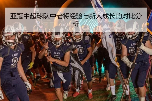 亚冠中超球队中老将经验与新人成长的对比分析